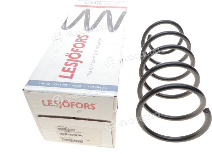 Lesjofors 4063442