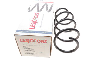 Lesjofors 4062076