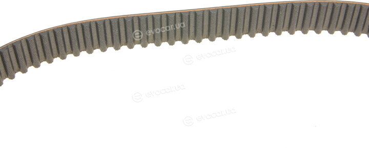 Gates K015434XS