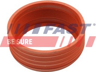 Fast FT48948