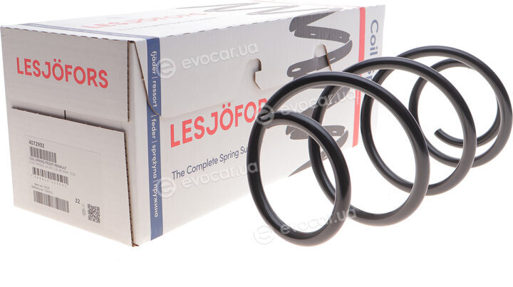 Lesjofors 4072992