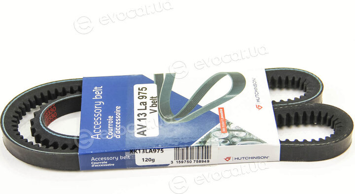 Hutchinson AV 13 La 975