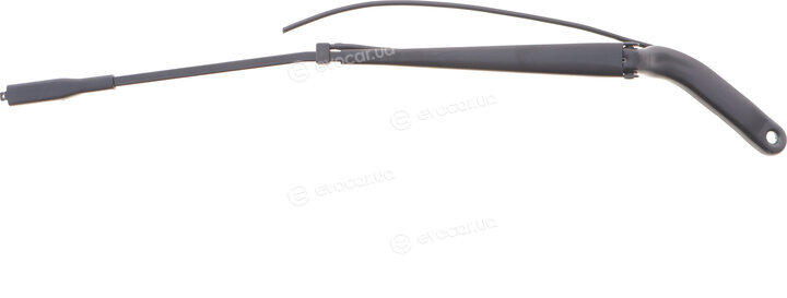 Solgy 307076