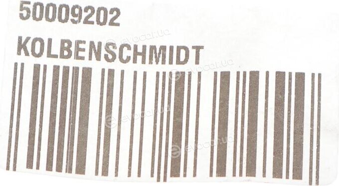 Kolbenschmidt 50009202