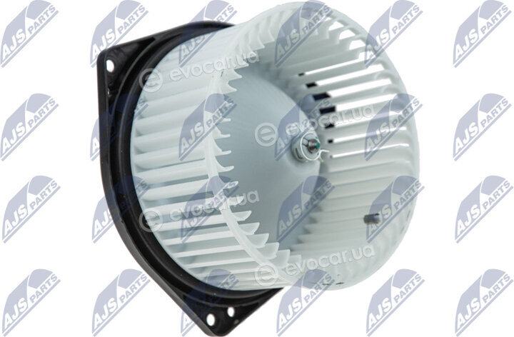 NTY EWN-MS-001