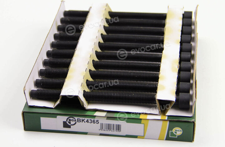 BGA BK4365