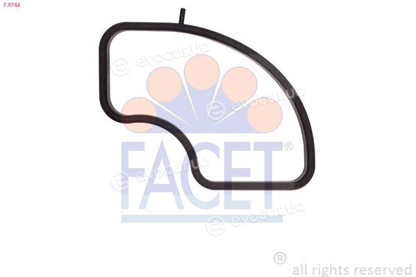 Facet 7.9744