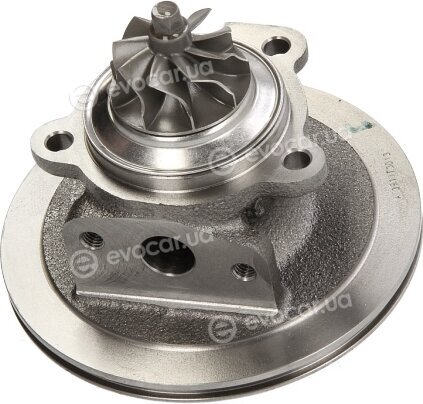 BorgWarner 54357100500