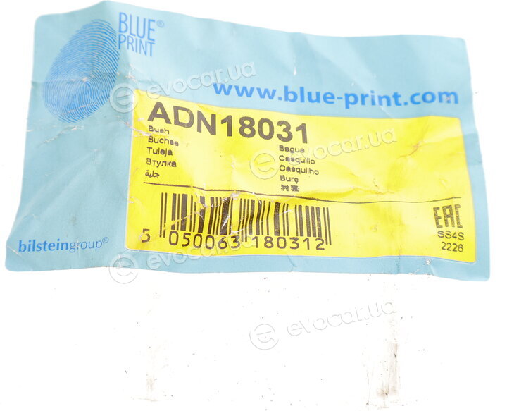 Blue Print ADN18031