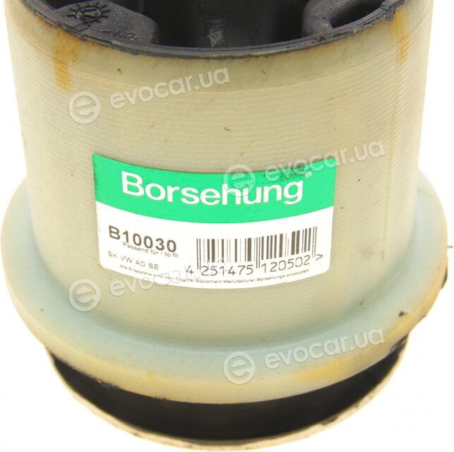 Borsehung B10030