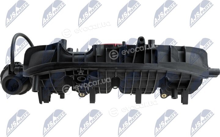 NTY BKS-VW-026