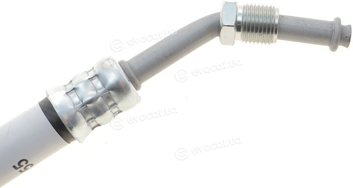 AIC 54955