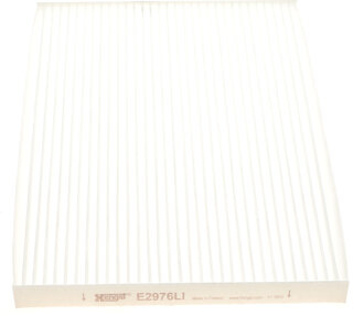 Hengst E2976LI
