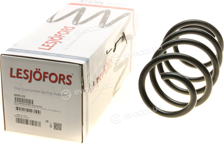 Lesjofors 4095115