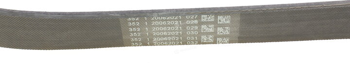 Continental 6PK1019 ELAST