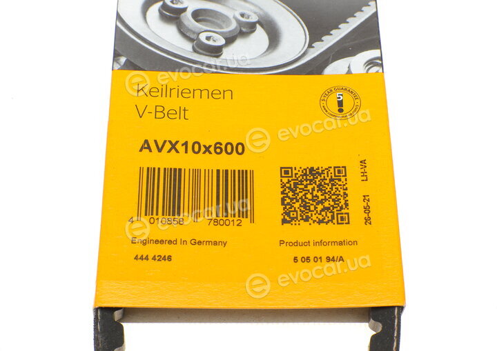 Continental AVX10X600