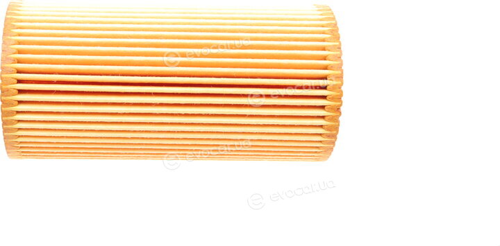 Borsehung B12815