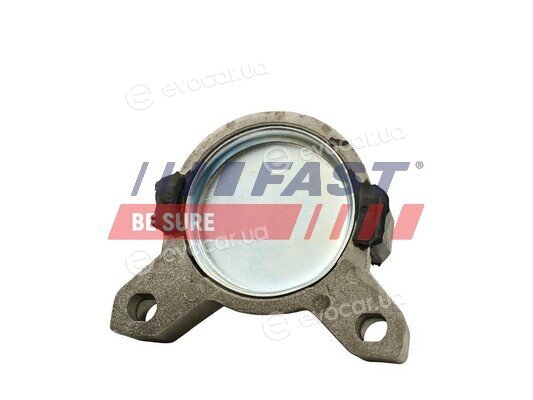 Fast FT52217