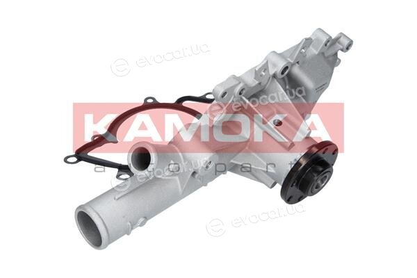 Kamoka T0199
