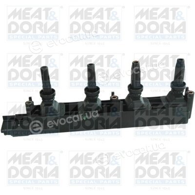 Meat & Doria 10419