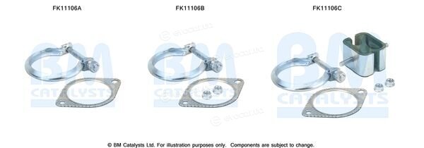 BM Catalysts FK11106