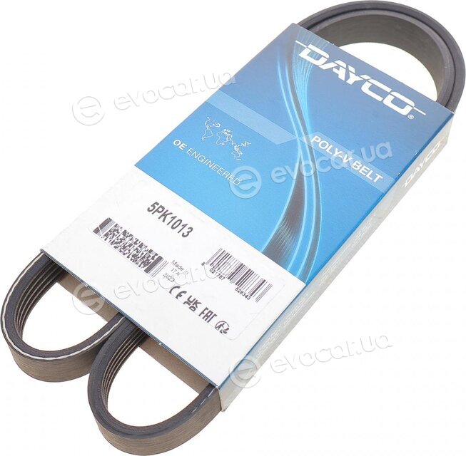 Dayco 5PK1013