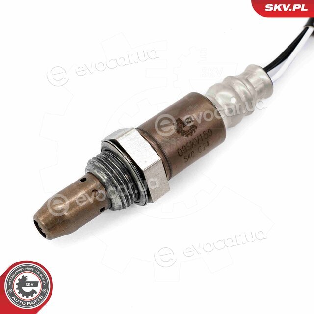 SKV 09SKV159