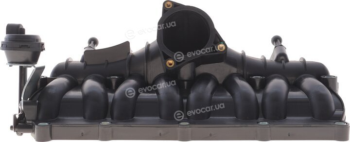 Solgy 114300