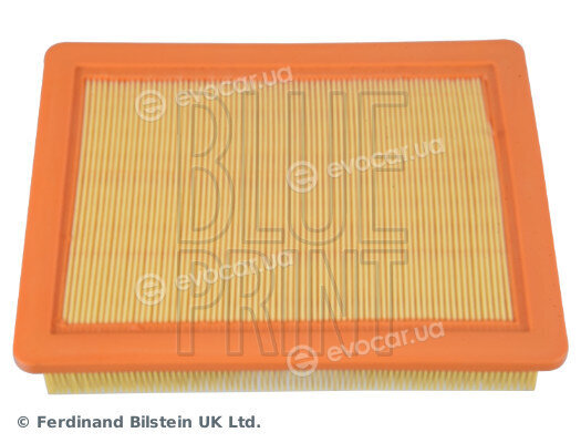 Blue Print ADBP220116