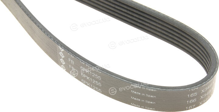 INA FB 6PK1255