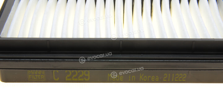 Mann C 2229
