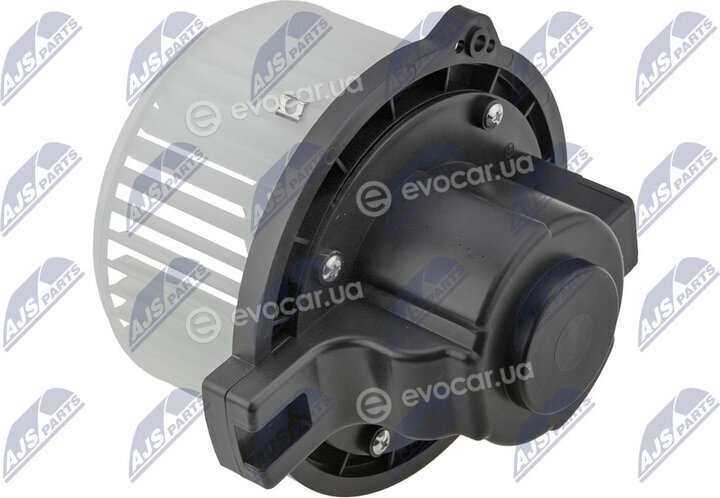 NTY EWN-DW-000
