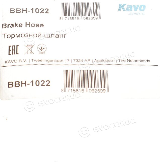 Kavo BBH-1022