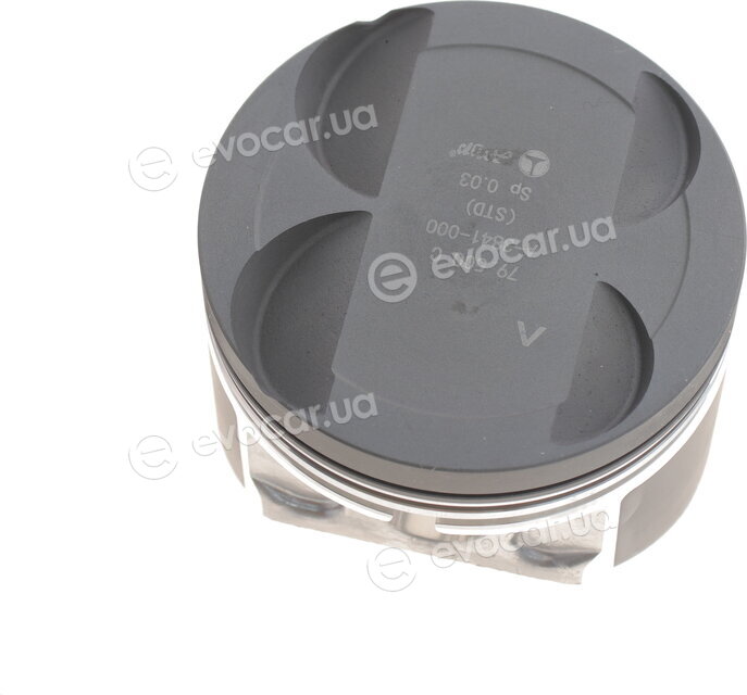 AMP PX-REN-4A-3841-000-C