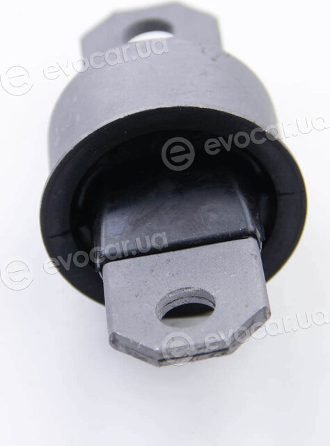 BC Guma 0634