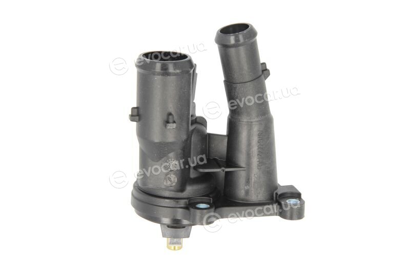 Mahle TM 31 98