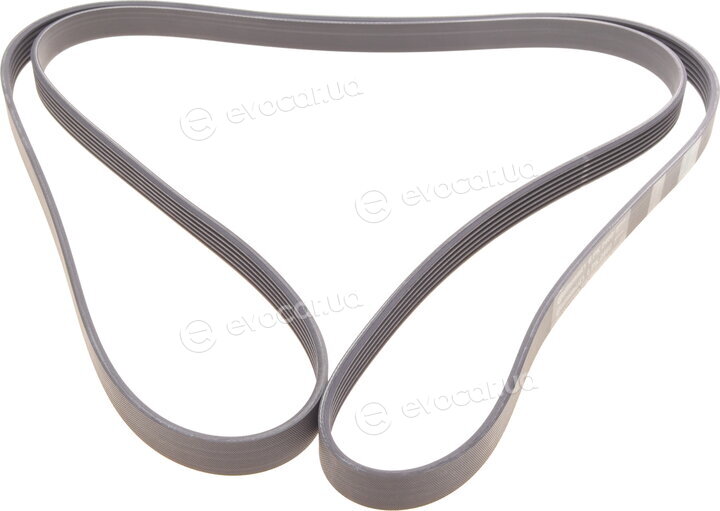 Continental 6PK2460