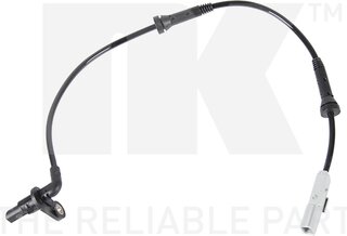 NK 293984