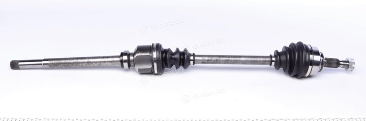 GSP 210239