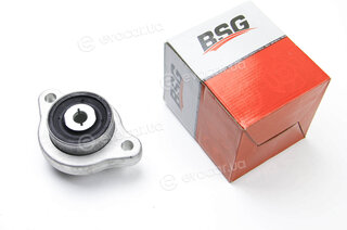 BSG BSG 60-700-156