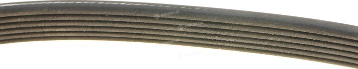 Dayco 6PK1775