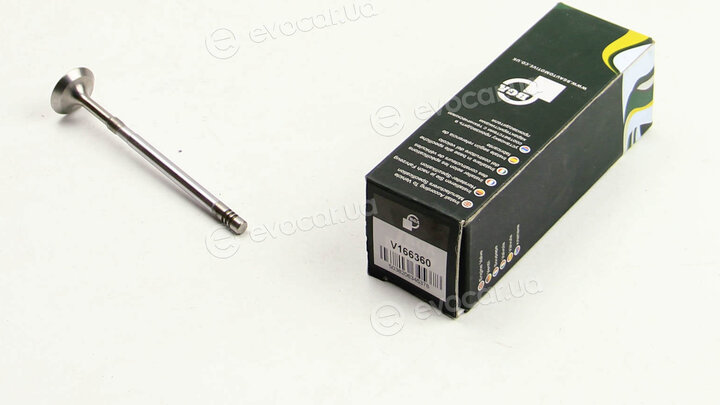 BGA V166360