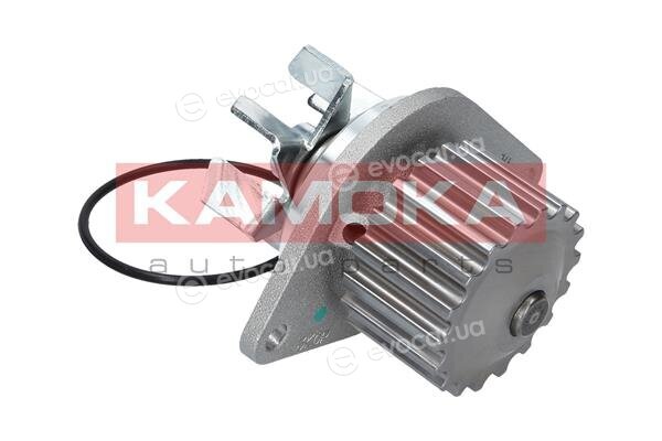 Kamoka T0089