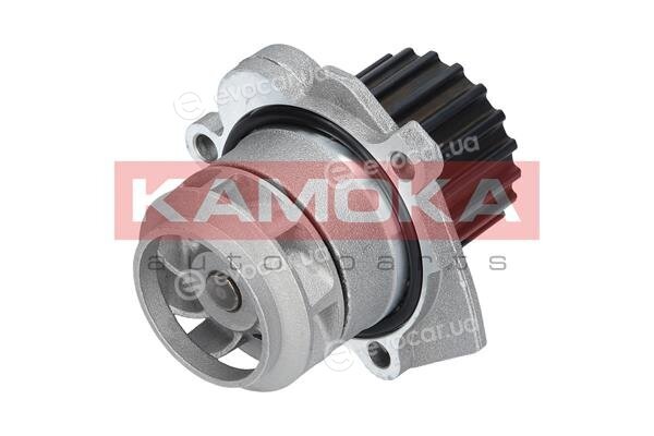 Kamoka T0253