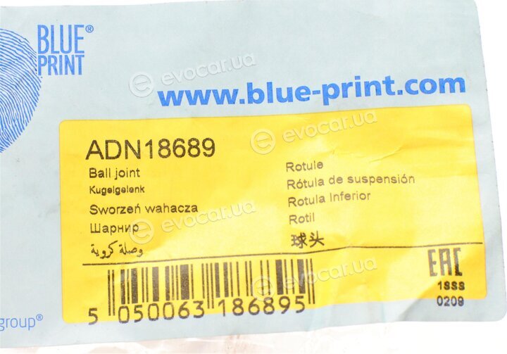 Blue Print ADN18689