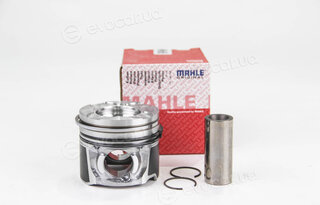 Mahle 040 06 30