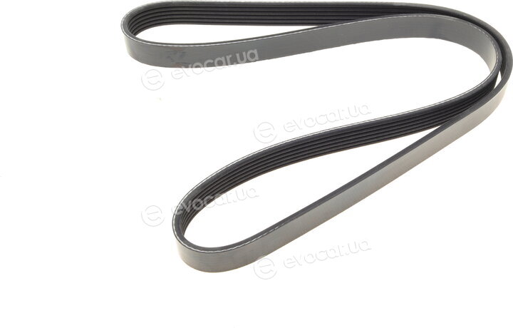 Dayco 6PK1178
