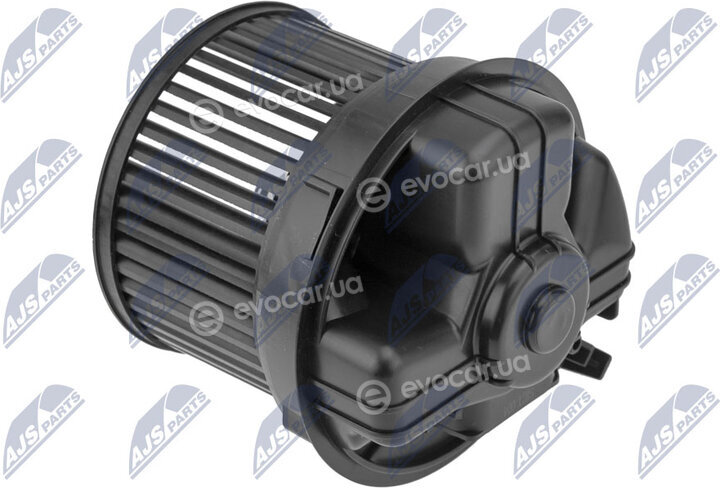 NTY EWN-CT-004