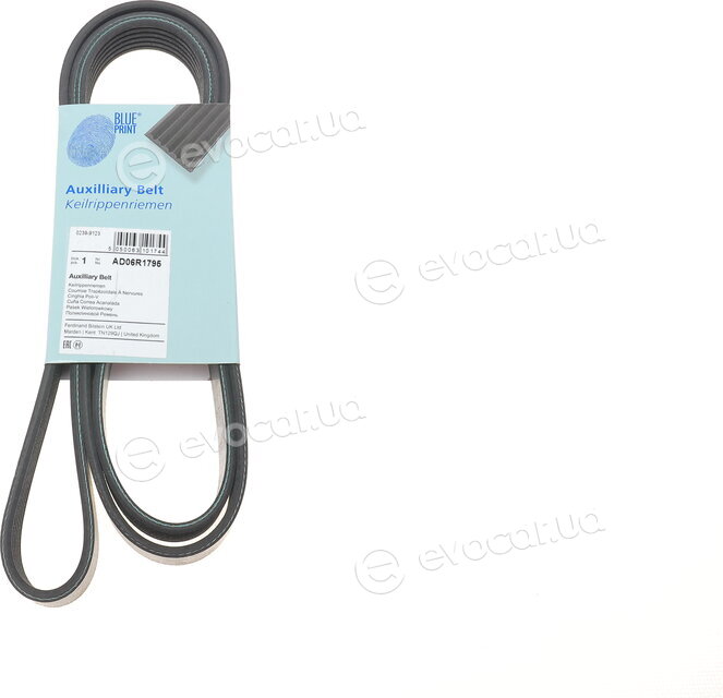 Blue Print AD06R1795
