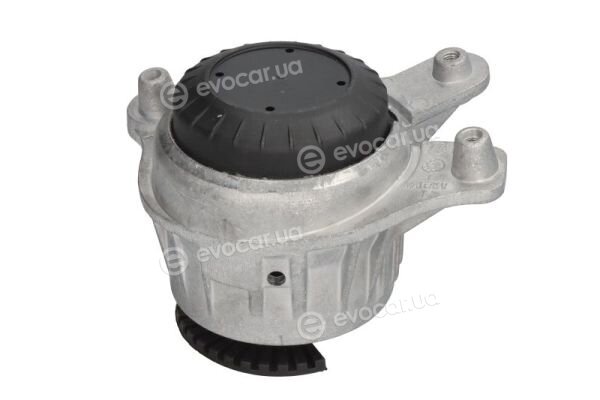 Reinhoch RH11-3136